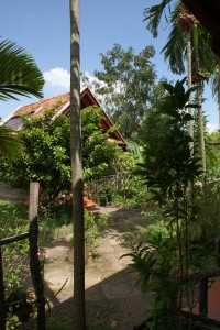 Tropical jungle hotel