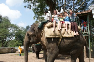 Riding our elephant