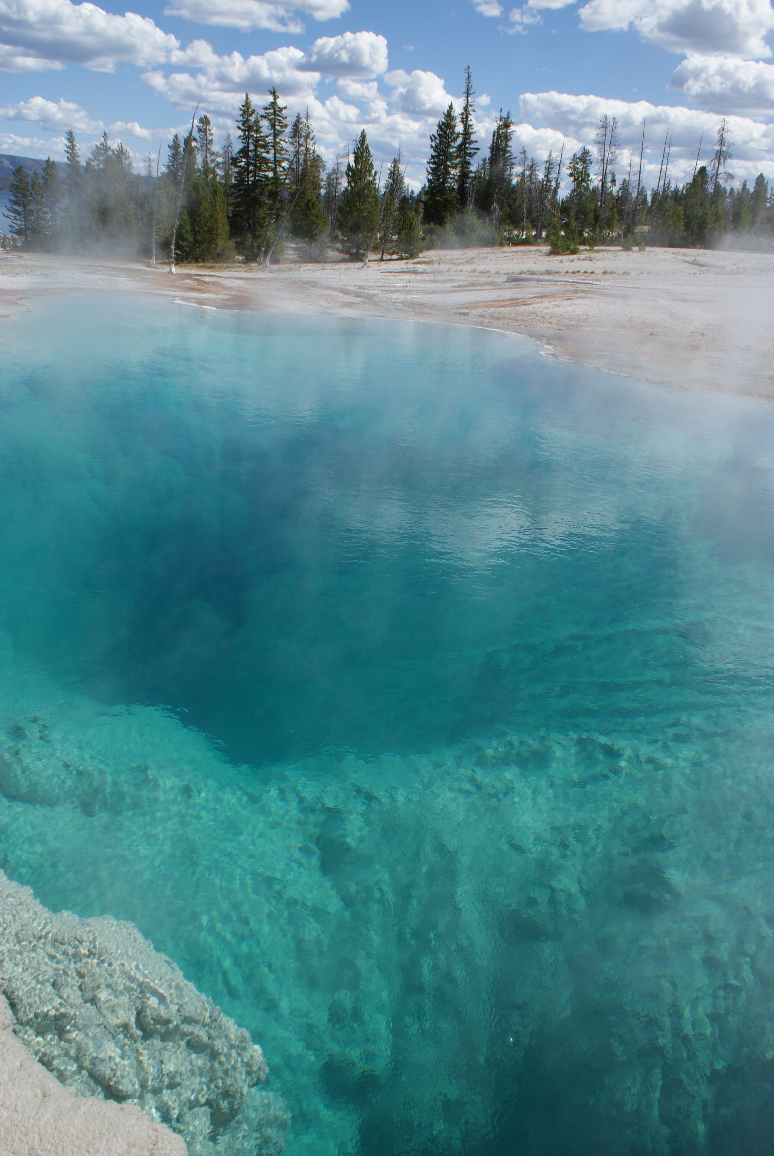 Yellowstone National Park with Kids | Quivertree
