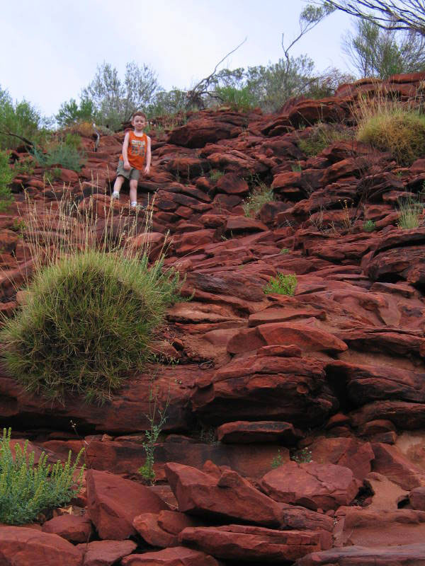 Australia with Kids: The Outback Part 2: Kings Canyon