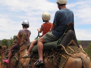 Camel riding in the outback