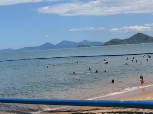 Tropical beach during jellyfish season