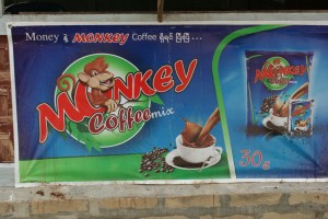 Monkey Coffee - local favorite!