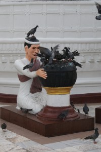 Feeding the birds at the Shwedagon