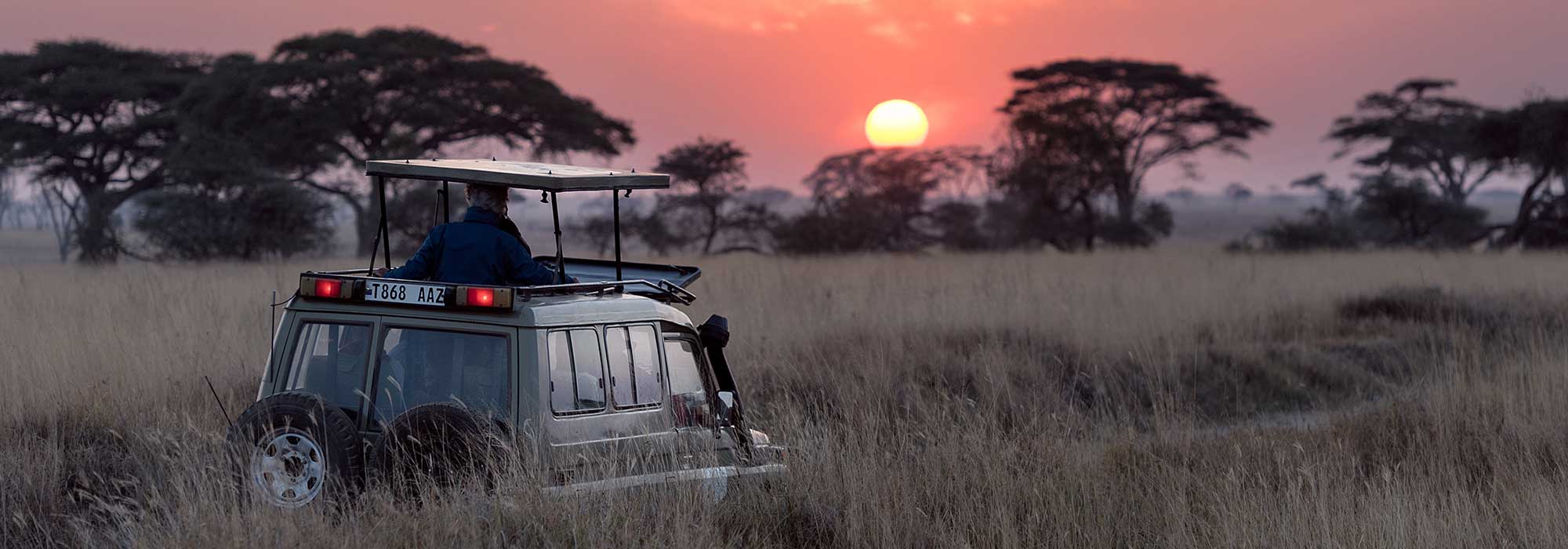 safari jeep in africa