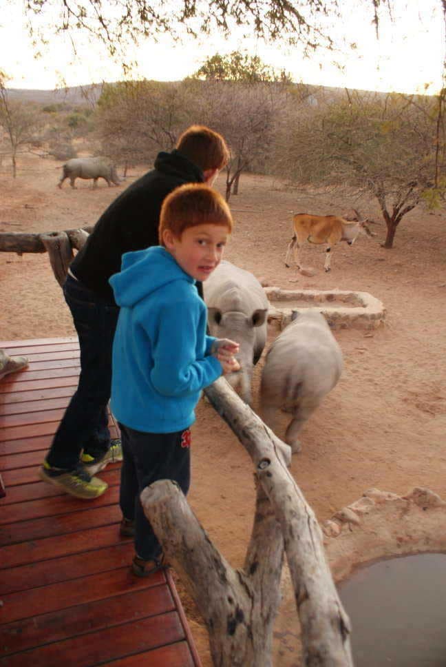 kids at the rhino feeding in south africa