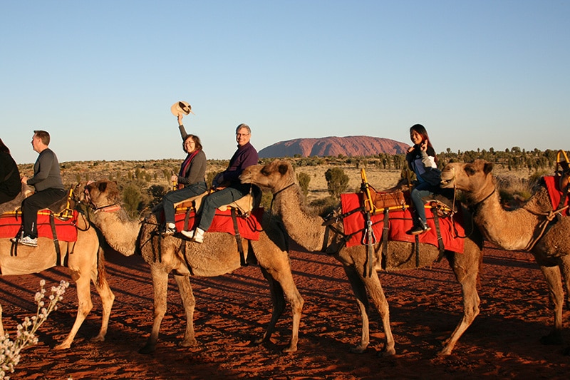 people riding camels