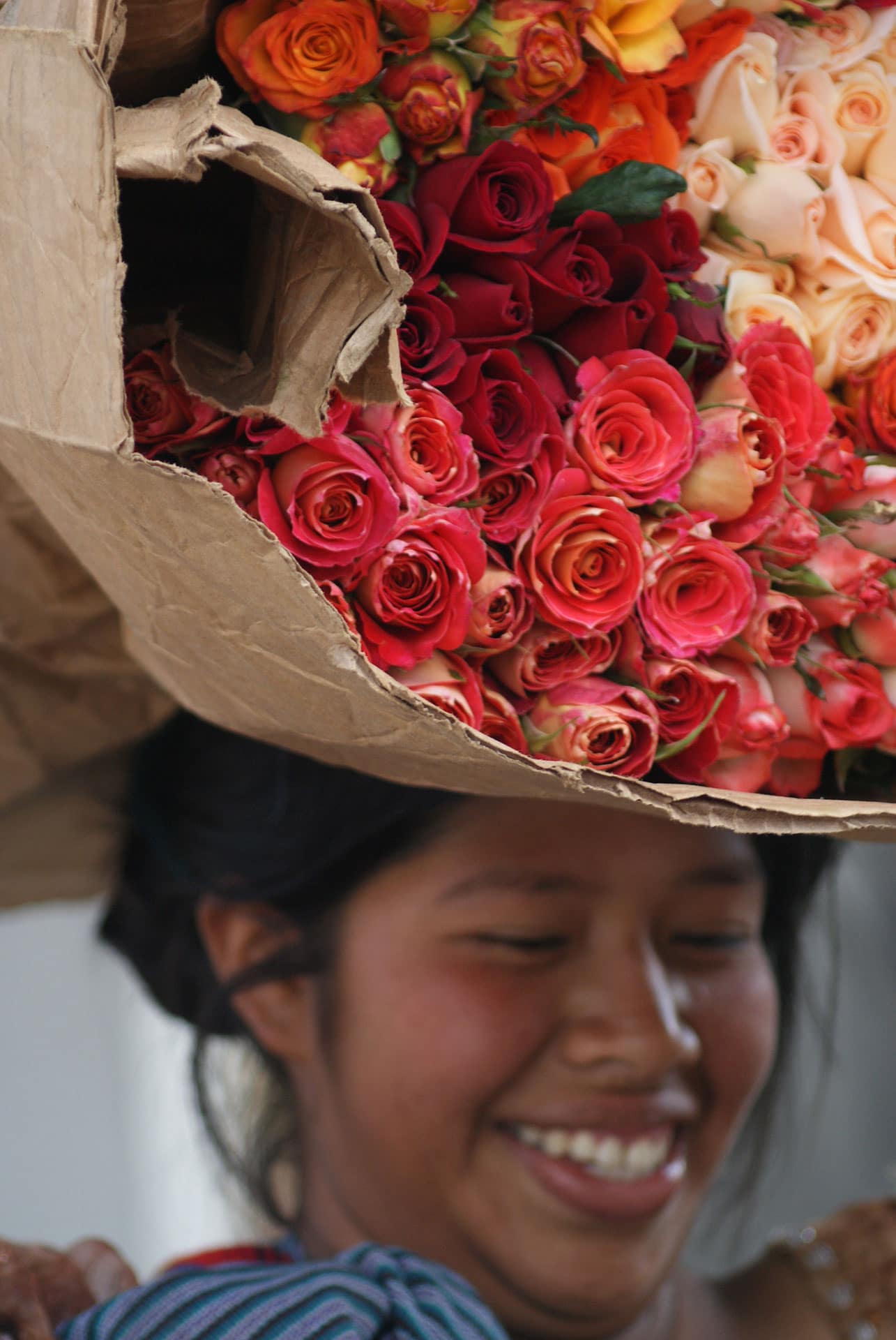 bundle of roses in guatemala