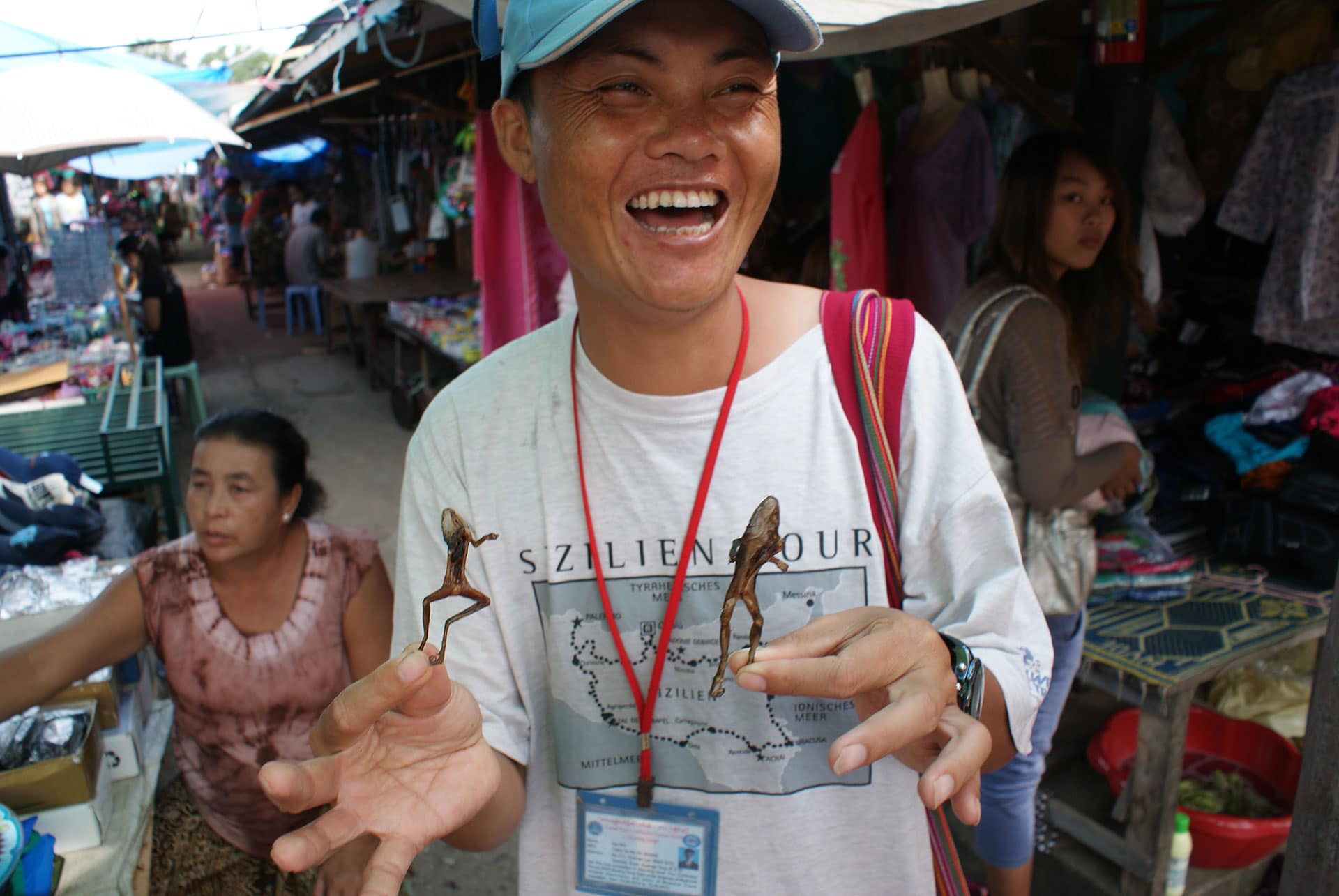 myanmar frogs