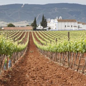 Wine estates are dotted throughout the Alentejo