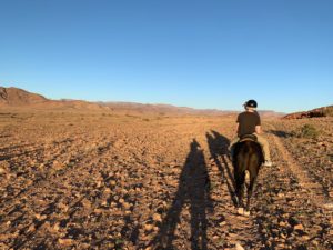 Desert horseback riding